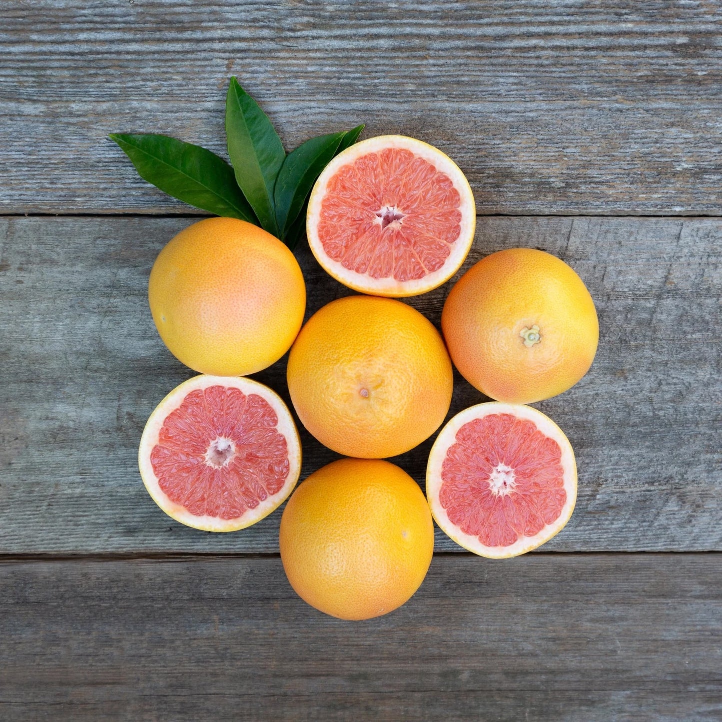Organic Star Ruby Grapefruit (1 count)