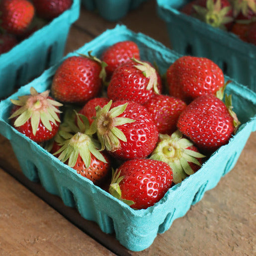 Organic Strawberries (1 pint)