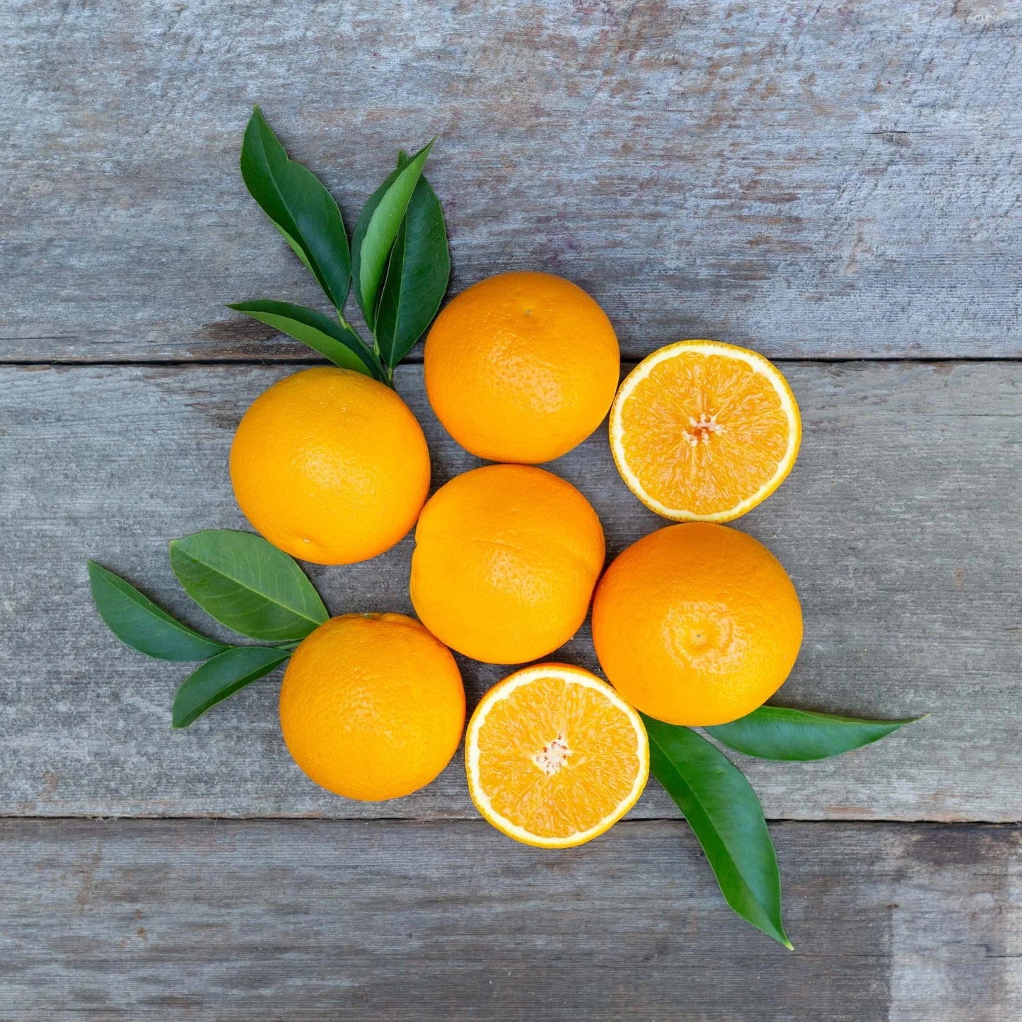 Organic Valencia Oranges (1 lb)