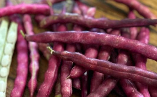 Smoky Gusanito Shelling Beans
