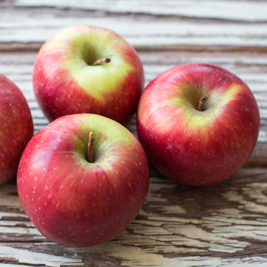 Organic Sundowner Apples (1 lb)