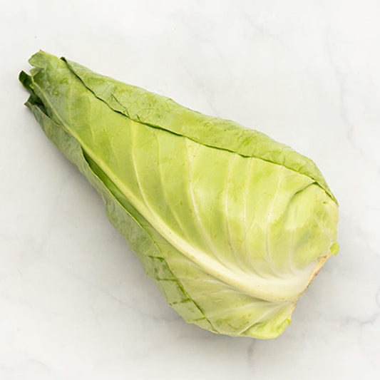 Organic Arrowhead Cabbage (1 head)