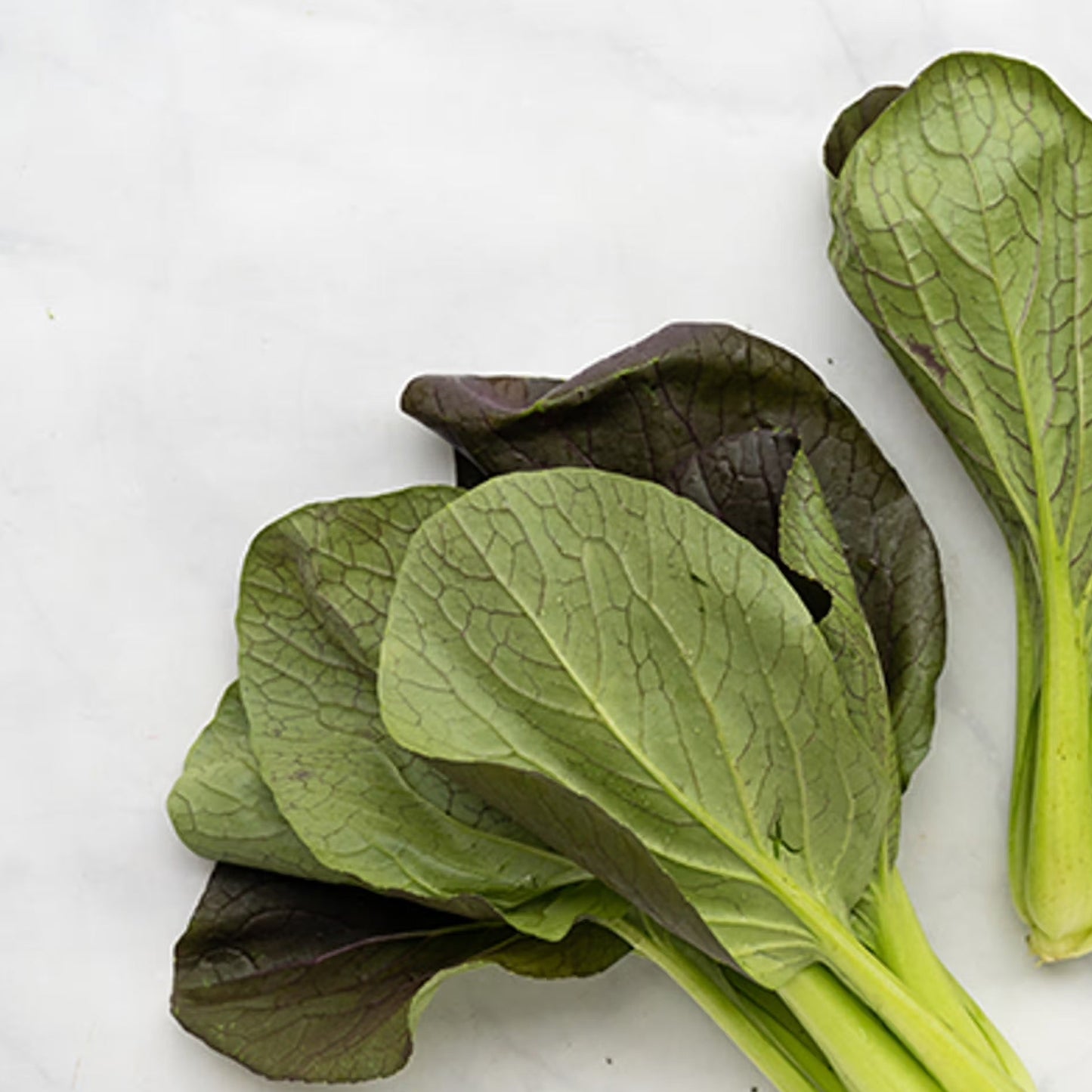 Organic Baby Red Bok Choi ( 8 oz )