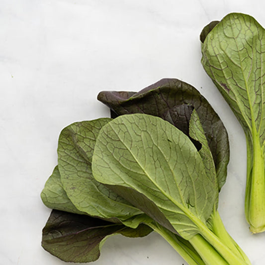 Organic Baby Red Bok Choi ( 8 oz )