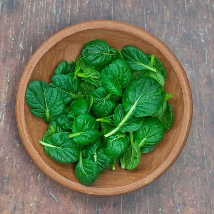 Organic Baby Tatsoi ( 8 oz )
