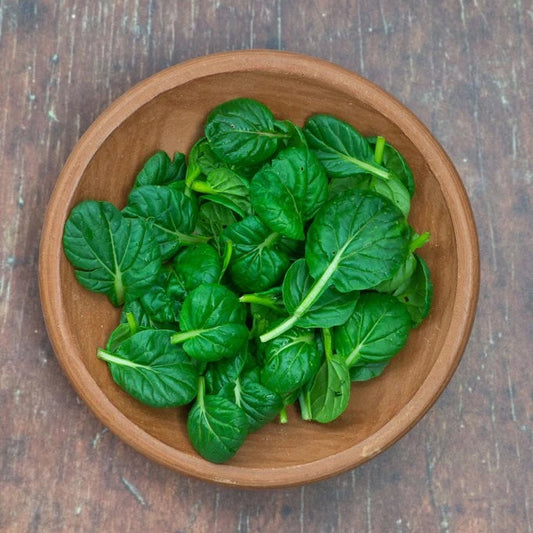 Organic Baby Tatsoi ( 8 oz )