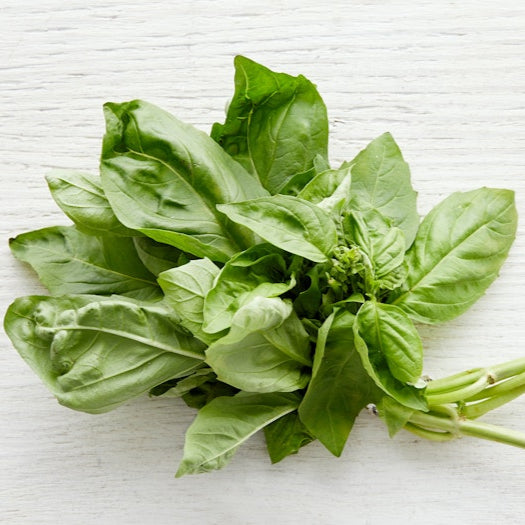 Organic Basil