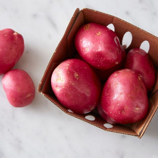 Organic Bella Roja New Potato (1 lb)