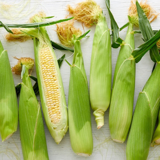 Organic Bi-Color Corn (1 count)