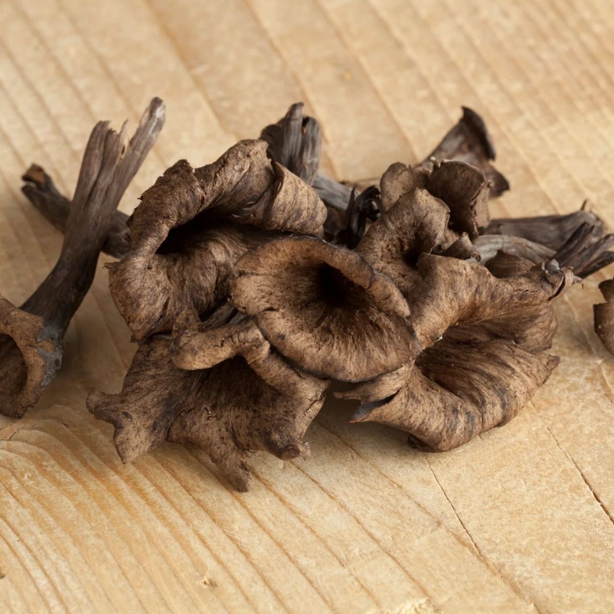 Organic Black Trumpet Mushrooms (6 oz)