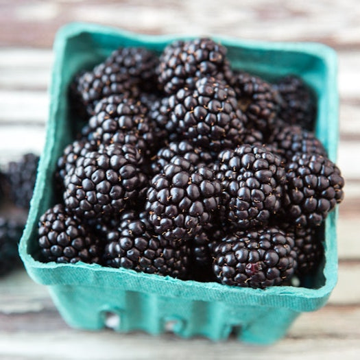 Organic Blackberries (1/2 Pint)