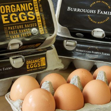 Organic Free Range Large Eggs (1 dozen)