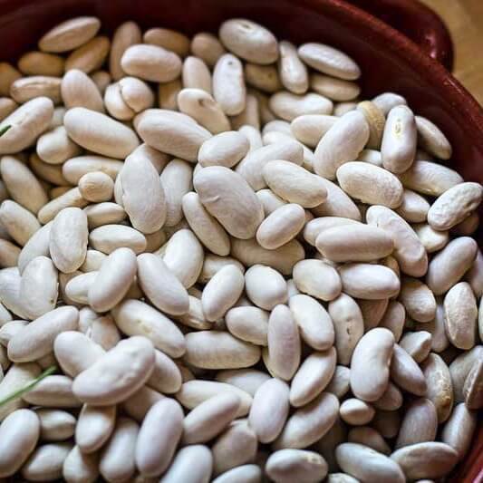 Cannellini Beans (1 lb)