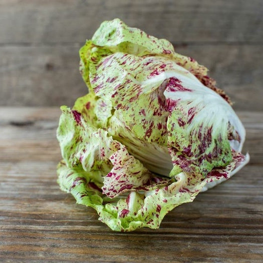 Organic Castlefranco Radicchio (1 lb)