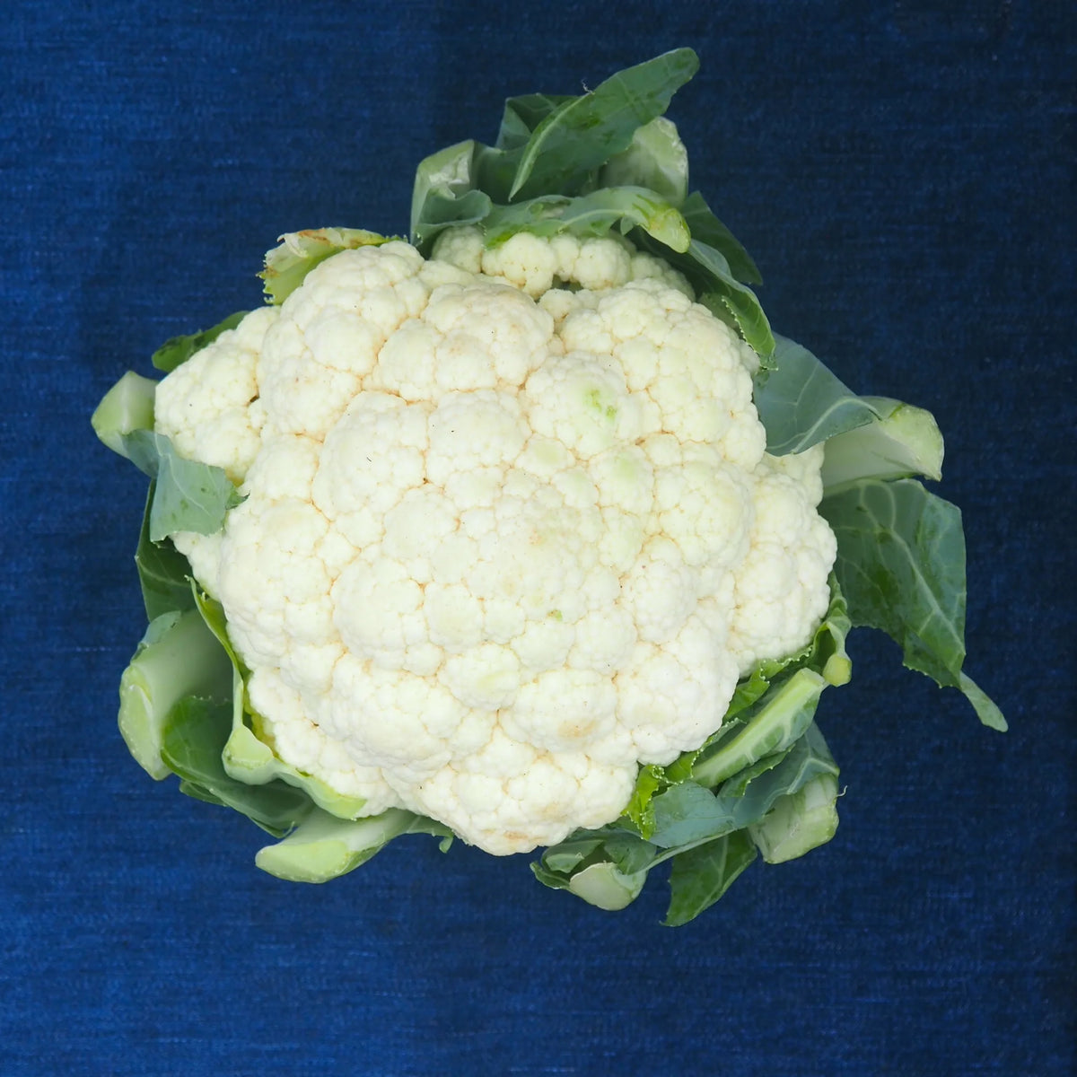 Cauliflower (1 head)