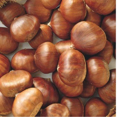 Colossal Chestnuts (1 lb)