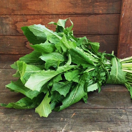 Organic Dandelion Greens ( 1 bunch )