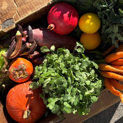 Winter/Spring 2026 Membership