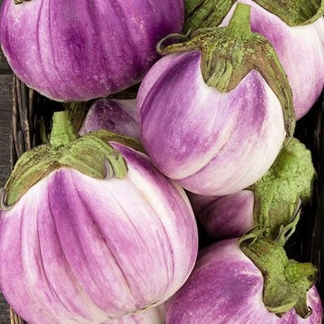 Rosa Bianca Eggplant (1 lb)