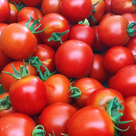 Organic Early Girl Dry Farm Tomatoes (1 lb)