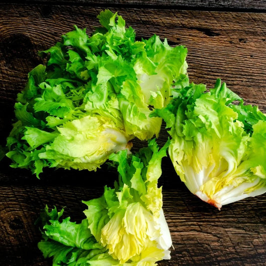 Organic Escarole (1 head)