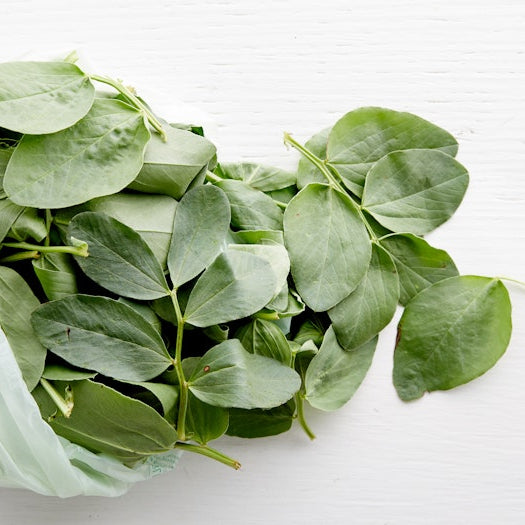 Organic Fava Greens ( .5 lb )