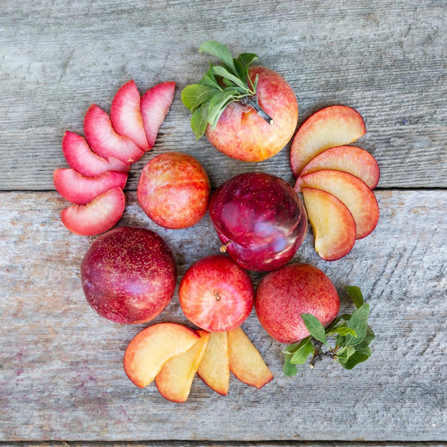 Organic Flavor Treat Pluot (1 lb)