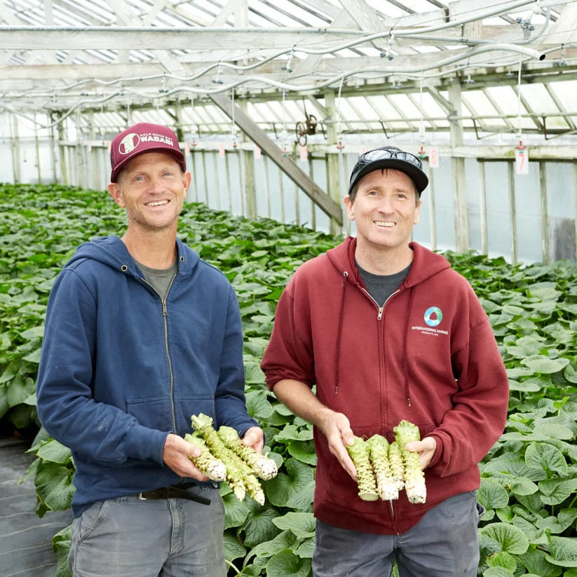 Organic Fresh Wasabi (4 oz)