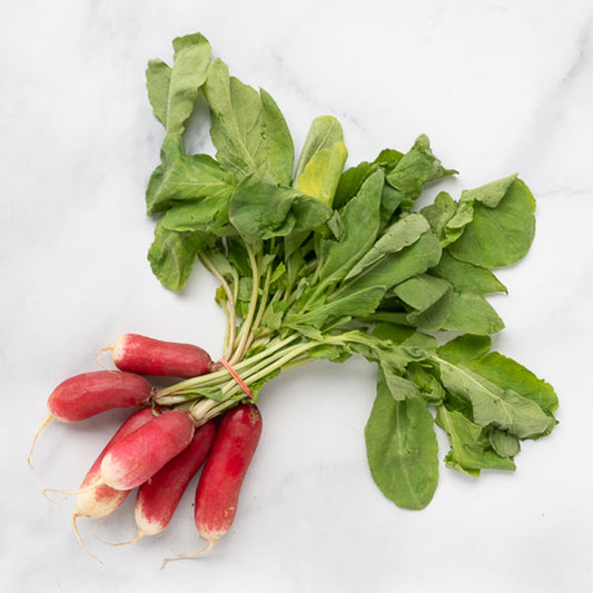 Organic French Breakfast Radishes (1 bunch)