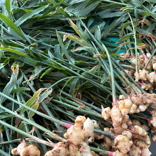 Organic Fresh Ginger (8 oz)
