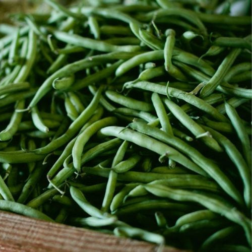 Organic Haricots Verts (French Beans) (1 lb)