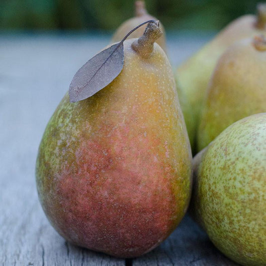 Organic Warren Pear (1 lb)