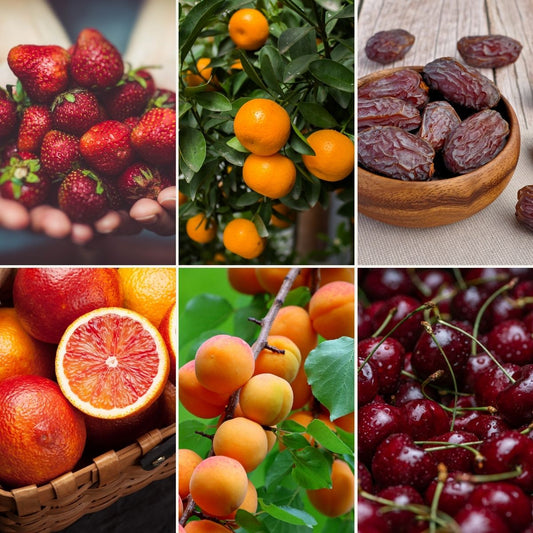 Fruit Obsessed Smuggler Box