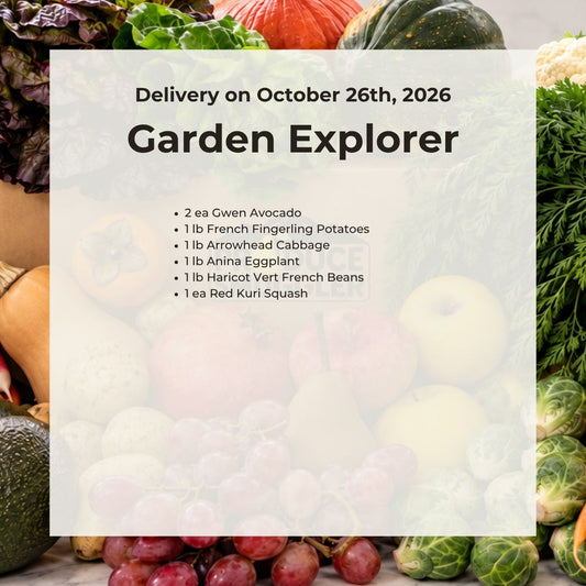 The Garden Explorer Box