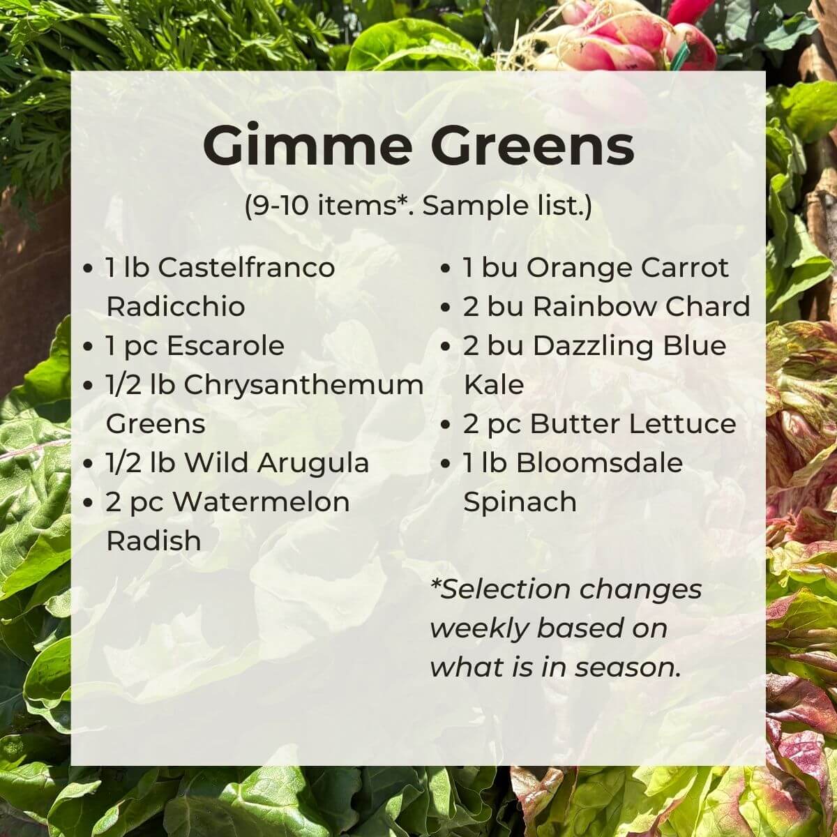 Winter/Spring 2026 Membership