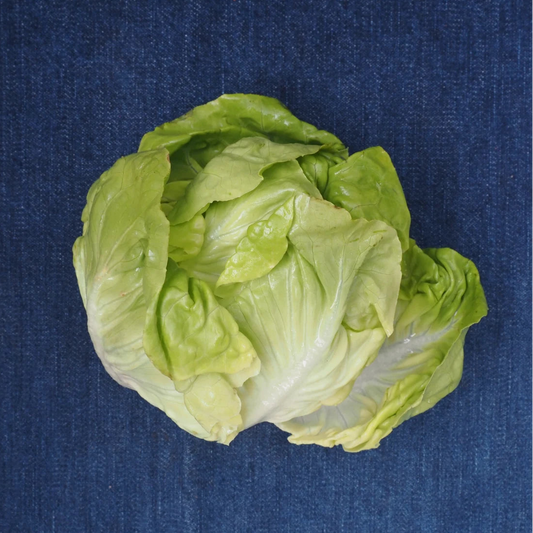 Green Bibb Lettuce (1 lb)