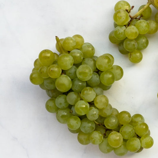 Organic Seedless Green Grapes (1 lb)