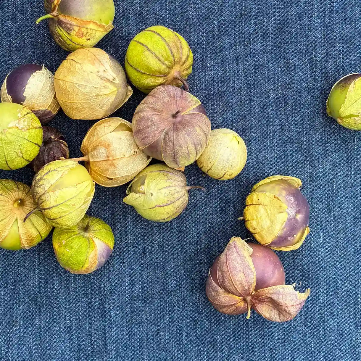 Green Tomatillos (1 lb)