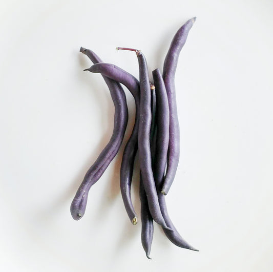 Haricot Vert French Beans, Purple (1 lb)