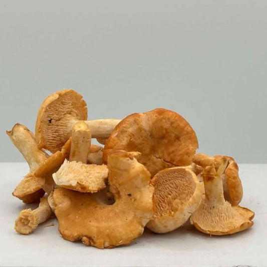 Organic Hedgehog Mushrooms (6 oz)