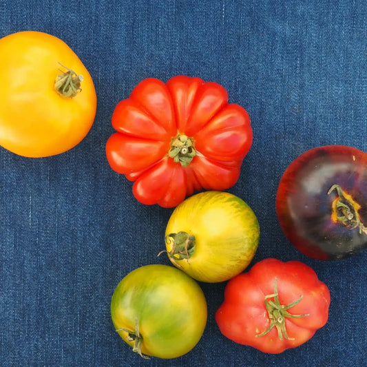 Heirloom Tomatoes (1 lb)