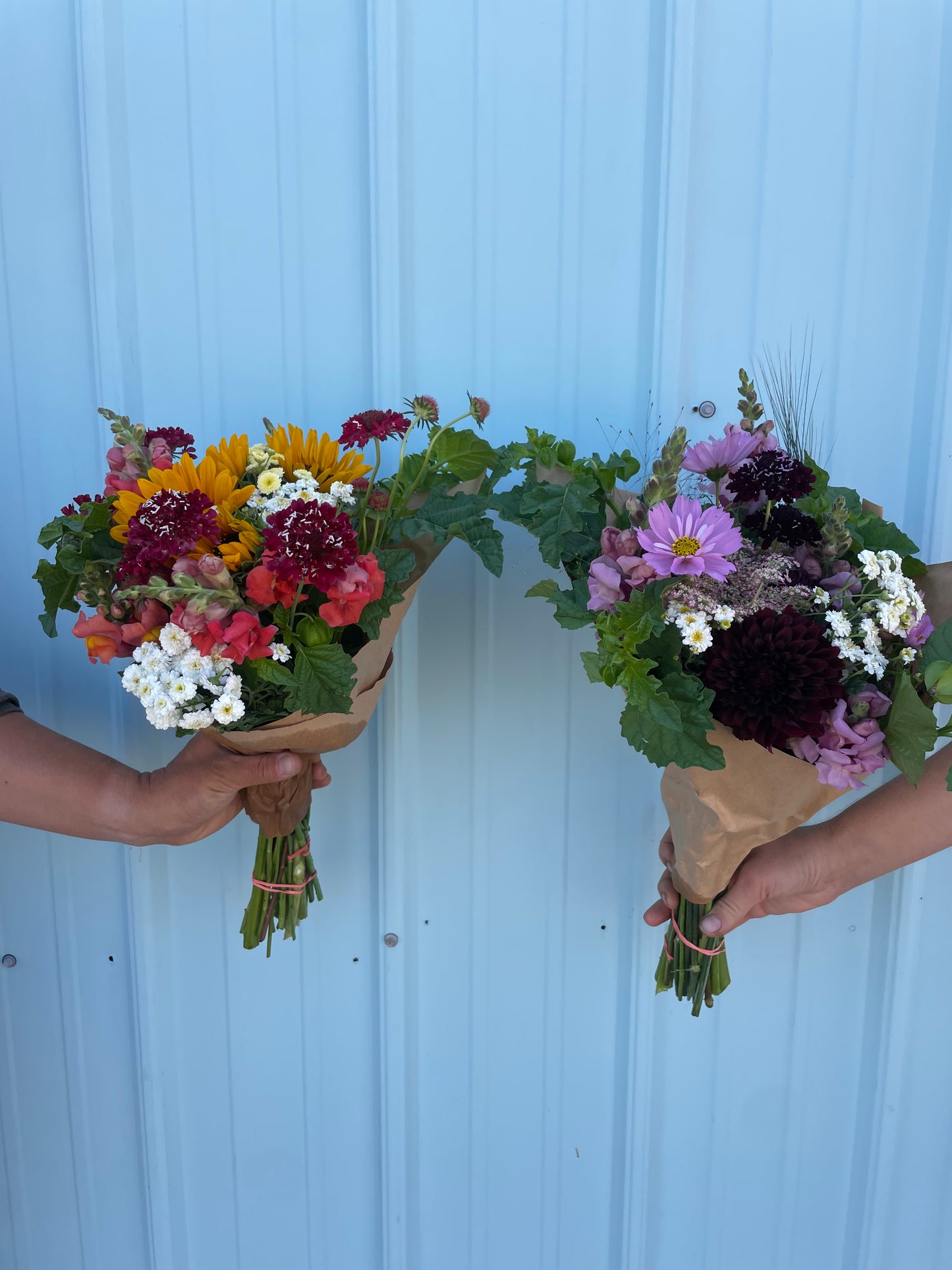 Two Roots Farm Seasonal Bouquet (1 bunch)