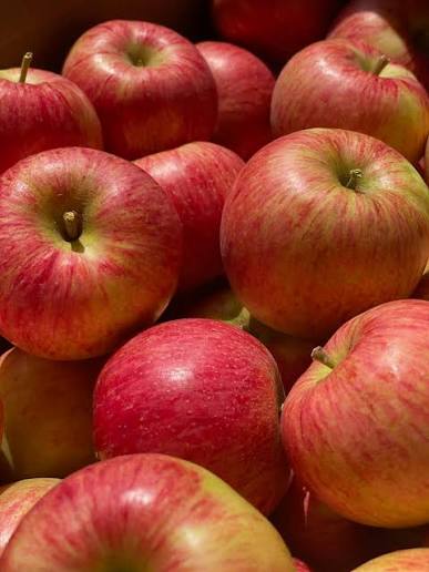 Chenango Strawberry Apple (1 lb)