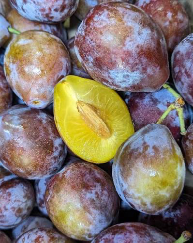 French Prune Plums (1 lb)