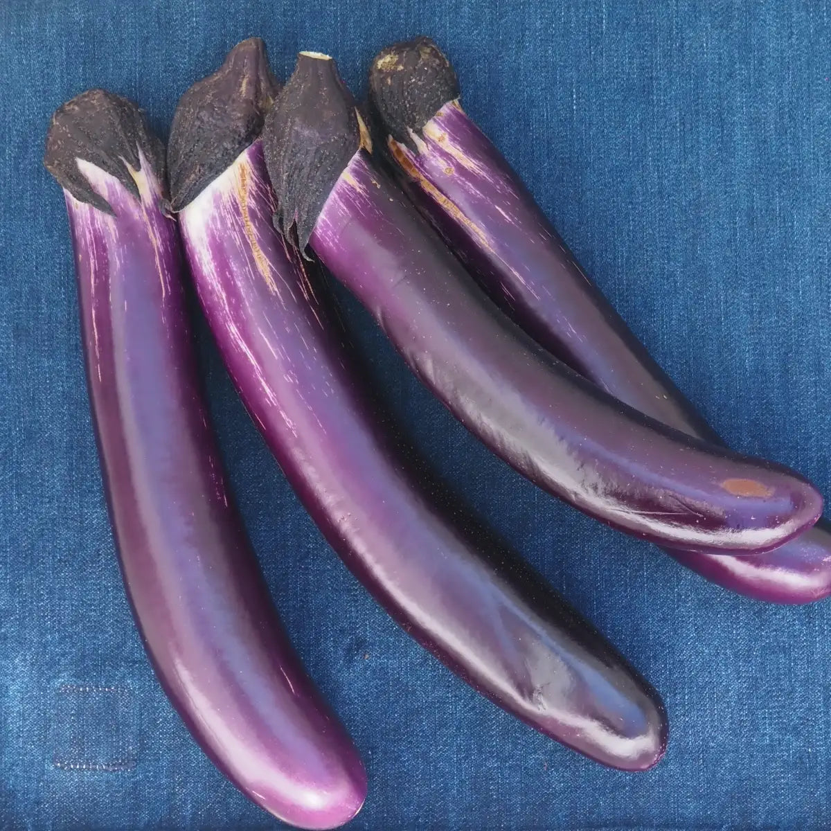 Japanese Eggplant (1 lb)