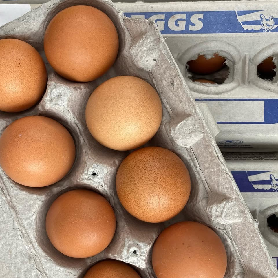 Organic Free Range Large Eggs (1 dozen)