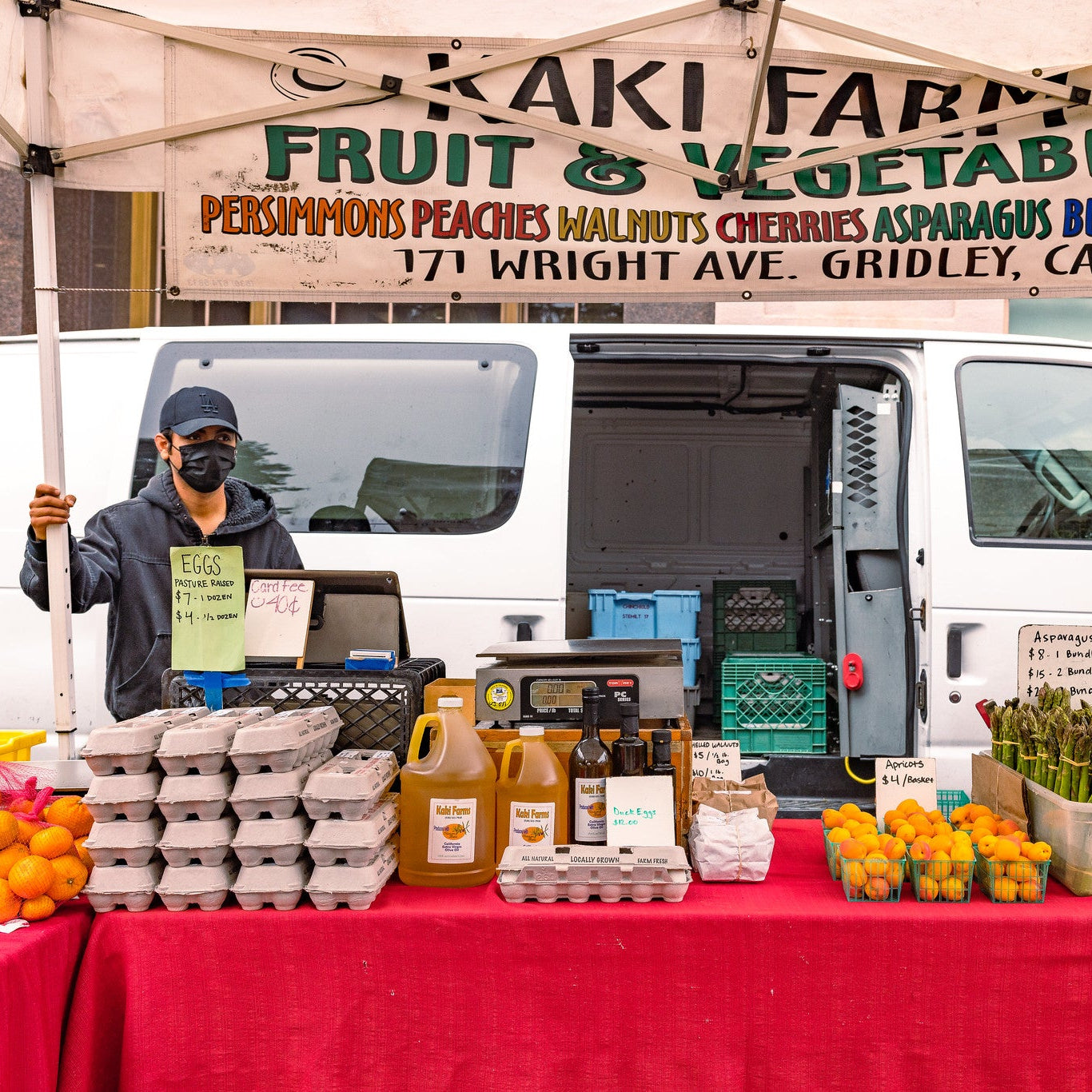 Organic Free Range Large Eggs (1 dozen)