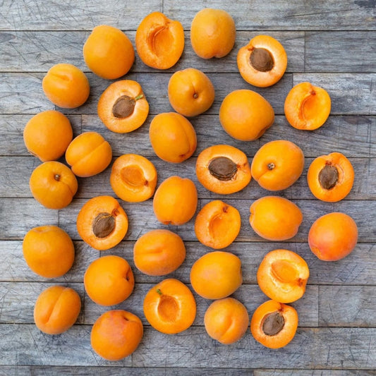 Organic Apricots (1 lb)