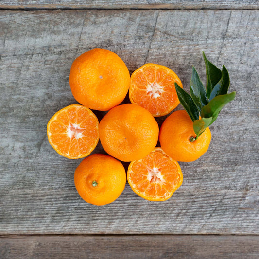 Organic Kishu Mandarin (1 lb)