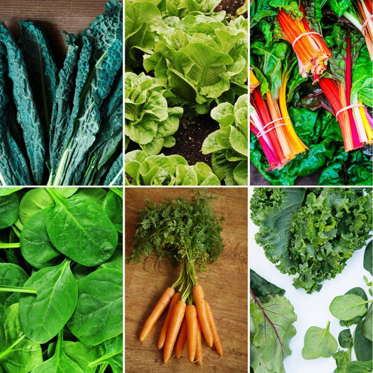 Gimme Greens Smuggler Box